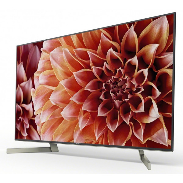 Фото - Телевизор Sony KD55XF9005BR2
