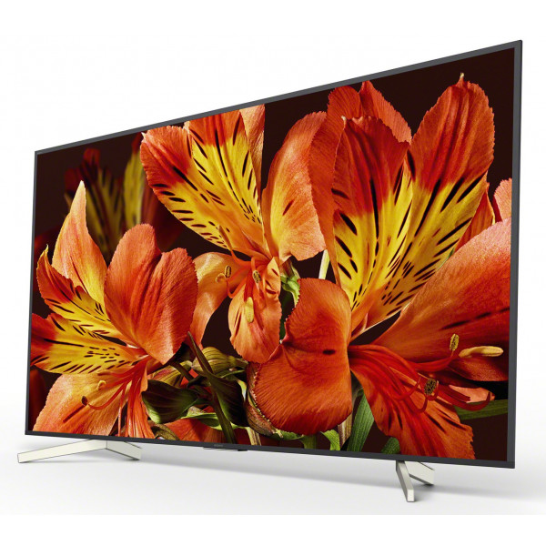 Фото - Телевизор Sony KD65XF8596BR2