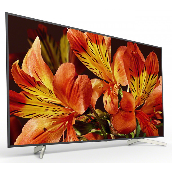 Фото - Телевизор Sony KD65XF8596BR2