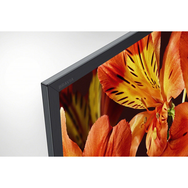 Фото - Телевизор Sony KD65XF8596BR2