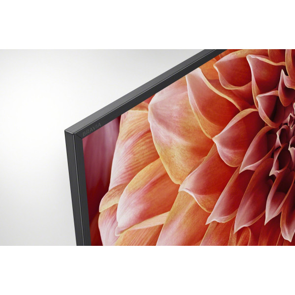Фото - Телевизор Sony KD65XF9005BR2