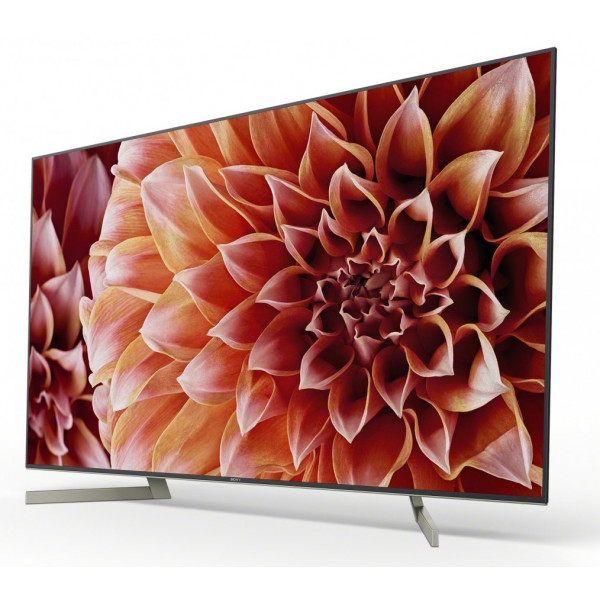 Фото - Телевизор Sony KD65XF9005BR2