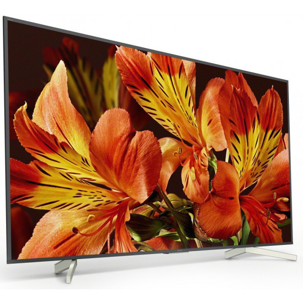 Фото - Телевизор Sony KD75XF8596BR2