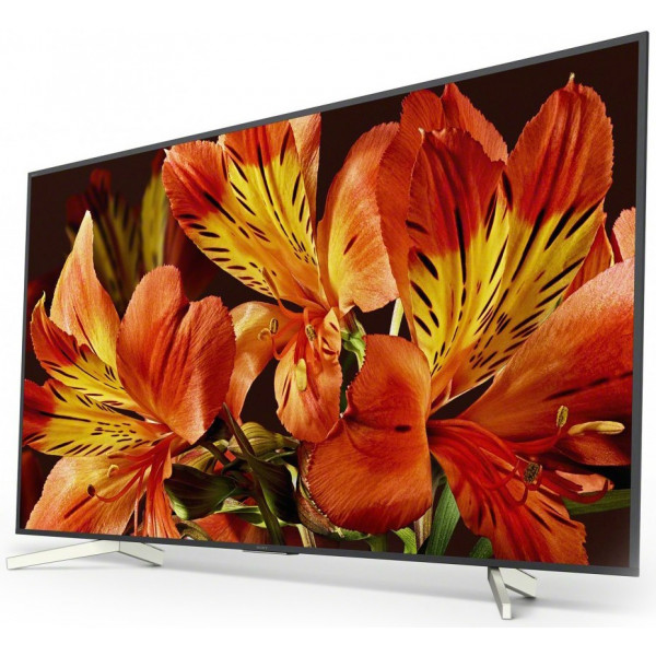 Фото - Телевизор Sony KD75XF8596BR2