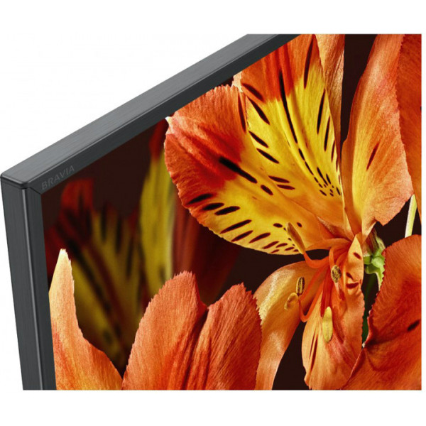 Фото - Телевизор Sony KD75XF8596BR2