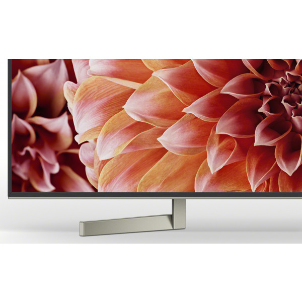 Фото - Телевізор Sony KD75XF9005BR2