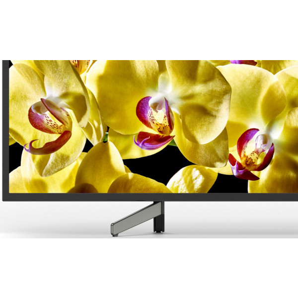 Фото - Телевизор Sony KD65XG8096BR2