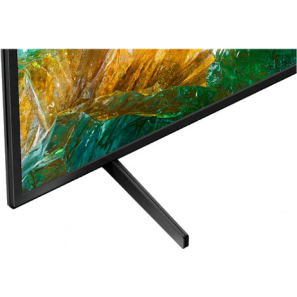 Фото - Телевизор Sony KD55XH8096BR