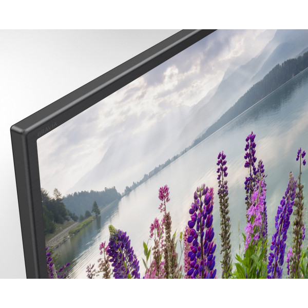 Фото - Телевизор Sony KDL43WF805BR