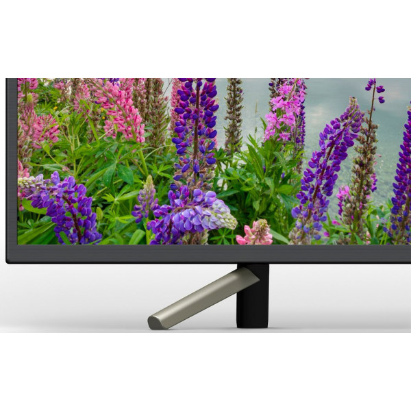 Фото - Телевизор Sony KDL43WF805BR