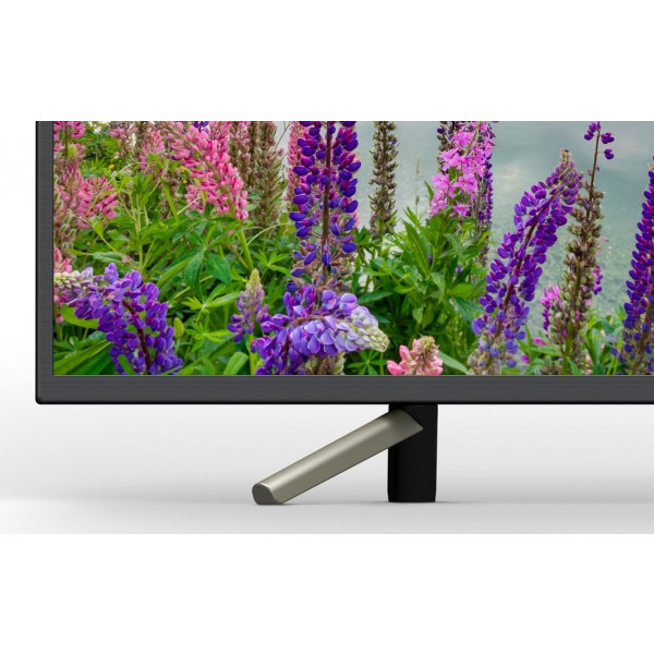 Фото - Телевизор Sony KDL49WF805BR