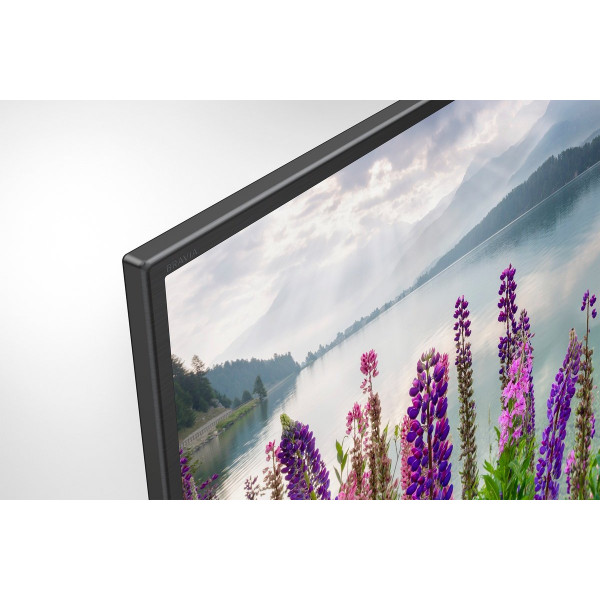 Фото - Телевизор Sony KDL49WF805BR