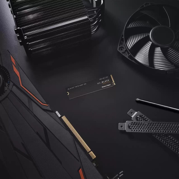 Фото - SSD-накопитель внутренний SanDisk SSD G4 M.2 NVME 250GB BK SN770 (WDS250G3X0E)