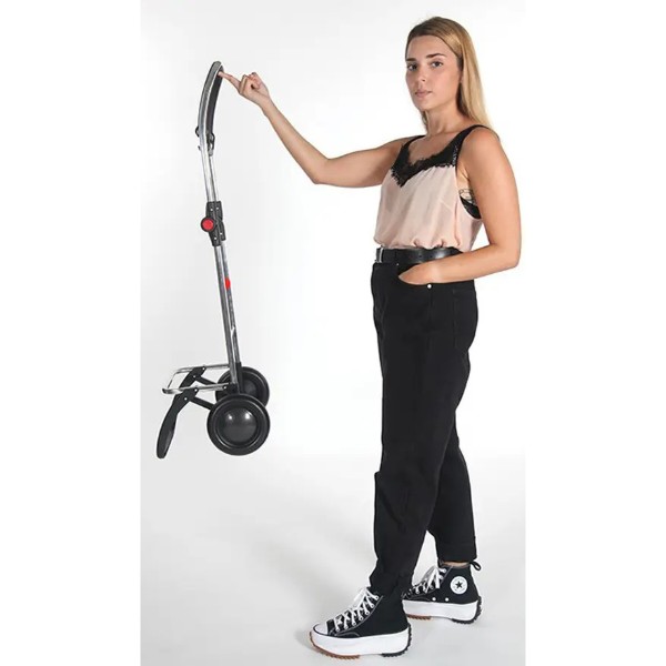 Фото - Сумка-візок Rolser I-Max MF 2L Marengo (IMX304-1031)
