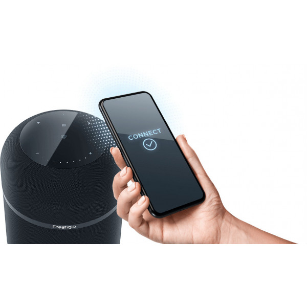 Фото - Портативна акустика Prestigio Superior 60W Black (PSS111SBK)