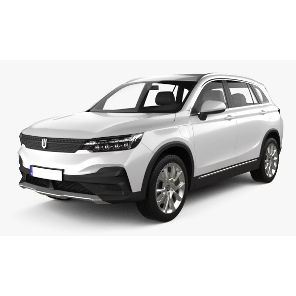 Фото - EVA килимок в багажник авто EVAtech для EV6 Skyworth 2021 1 покоління SUV China (SW42129BO1RBB)