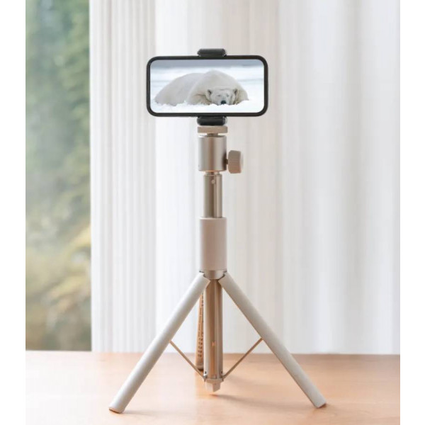 Фото - Подставка для проектора XGiMi Light Gold Portable Stand (T011R)