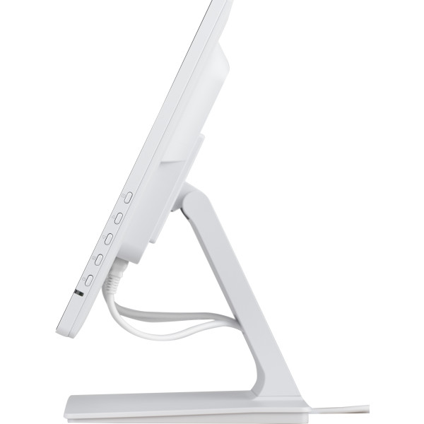 Фото - Монітор IIYAMA T2452MSC-W1AG