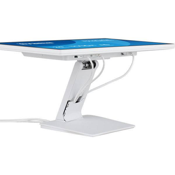 Фото - Монітор IIYAMA T2452MSC-W1AG