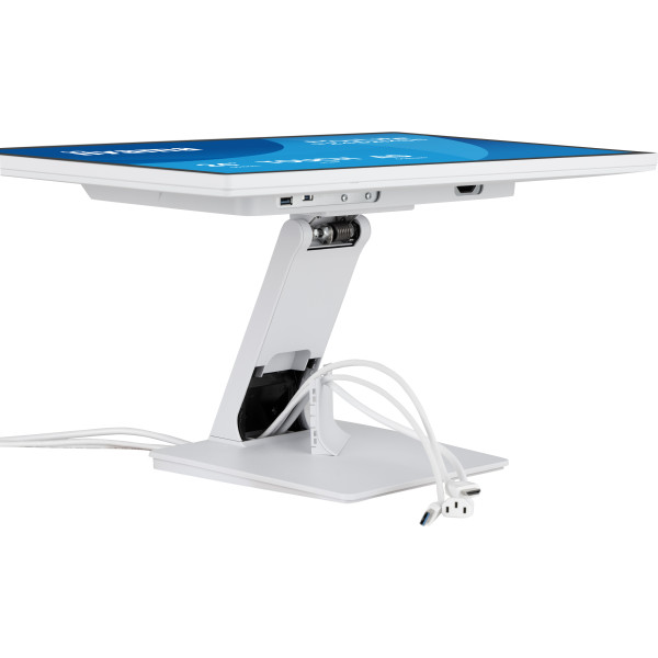 Фото - Монітор IIYAMA T2452MSC-W1AG