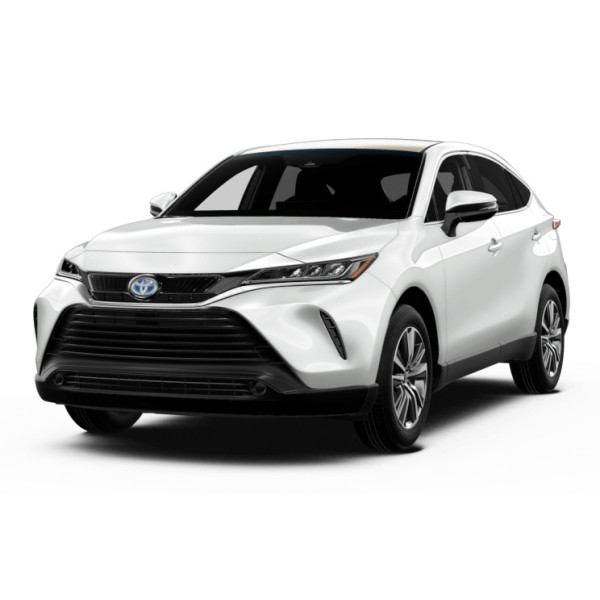 Фото - EVA килимок в багажник авто EVAtech для Venza (XU80) Toyota 2020 2 покоління SUV EU TY43177B1RBB