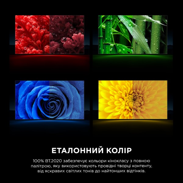 Фото - Телевизор TCL 115RM9L