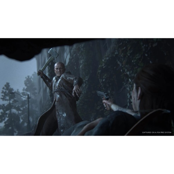Фото - Ігровий диск PS4 THE LAST OF US PART II [BLU-RAY ДИСК]