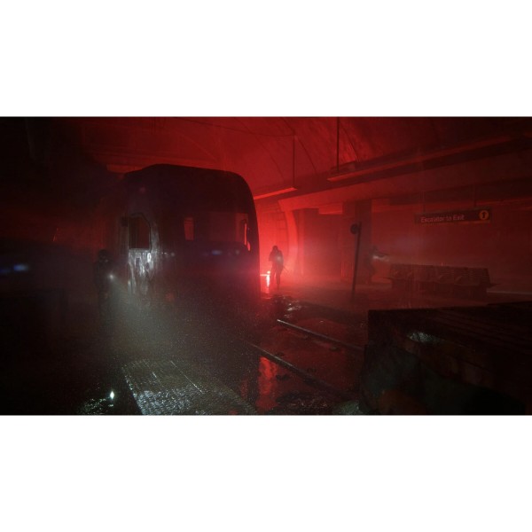 Фото - Ігровий диск PS4 THE LAST OF US PART II [BLU-RAY ДИСК]