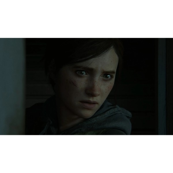 Фото - Ігровий диск PS4 THE LAST OF US PART II [BLU-RAY ДИСК]