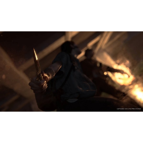 Фото - Ігровий диск PS4 THE LAST OF US PART II [BLU-RAY ДИСК]