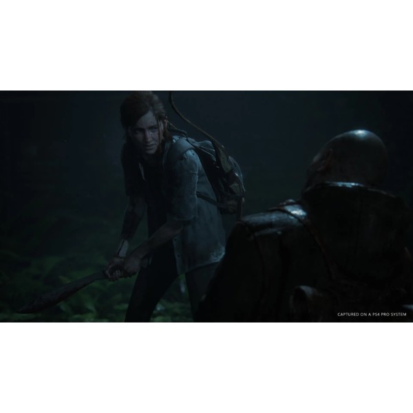 Фото - Ігровий диск PS4 THE LAST OF US PART II [BLU-RAY ДИСК]