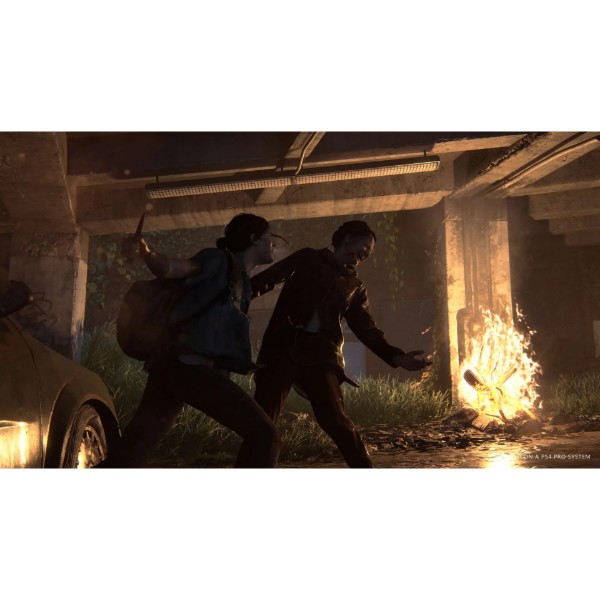 Фото - Ігровий диск PS4 THE LAST OF US PART II [BLU-RAY ДИСК]