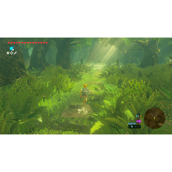 Фото - Ігровий картридж Nintendo Legend of Zelda: Breath of the Wild [Nintendo Switch 2]
