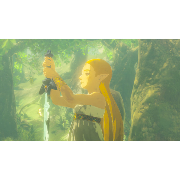 Фото - Ігровий картридж Nintendo Legend of Zelda: Breath of the Wild [Nintendo Switch 2]