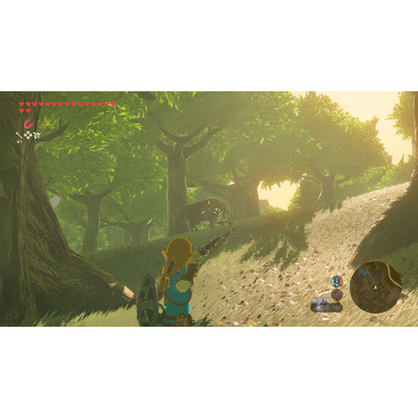 Фото - Ігровий картридж Nintendo Legend of Zelda: Breath of the Wild [Nintendo Switch 2]