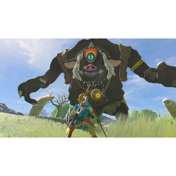 Фото - Ігровий картридж Nintendo Legend of Zelda: Breath of the Wild [Nintendo Switch 2]