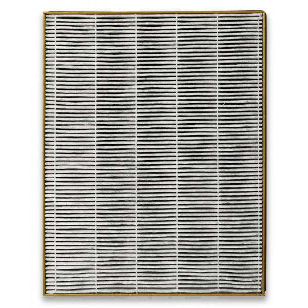 Фото - Фільтр до очищувача повітря Toshiba CAF-H30(W)