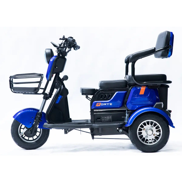 Фото - Трицикл Forte Family-P600 Blue (+Акумулятор 12V20A/25А 5 шт.)