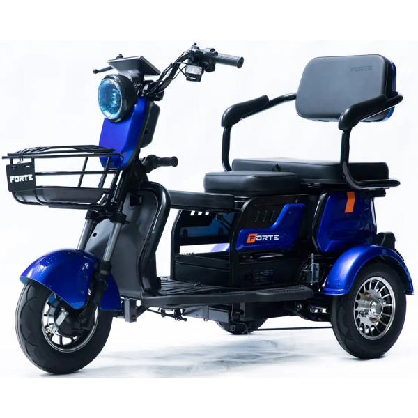 Фото - Трицикл Forte Family-P600 Blue (+Акумулятор 12V20A/25А 5 шт.)