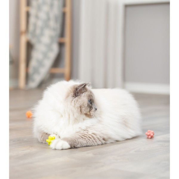 Фото - М'яч для котів Trixie М'ячики з виступами резина 3.5 см 4 шт. (4011905045344)