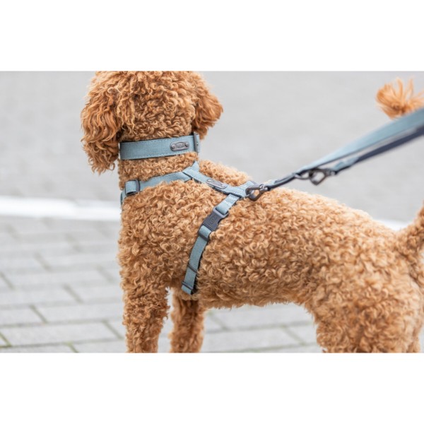 Фото - Шлея для собак Trixie CityStyle H-harness L–XL 75–120 см 25 мм светло-зеленая (4053032682672)