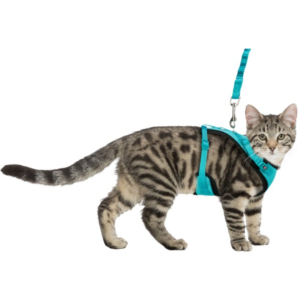 Фото - Шлей для кошек Trixie Y-Harness в ассортименте 39-60 см/10мм 1 м (4057589418906)