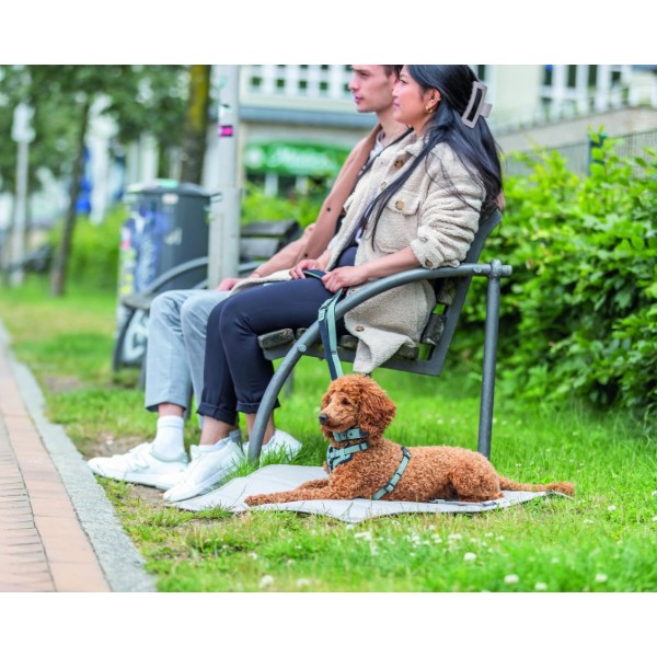 Фото - Шлея для собак Trixie CityStyle H-harness бавовна S–M 42–60 см 15 мм світло-зелена (4053032682610)