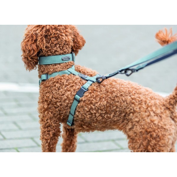 Фото - Шлея для собак Trixie CityStyle H-harness бавовна S–M 42–60 см 15 мм світло-зелена (4053032682610)