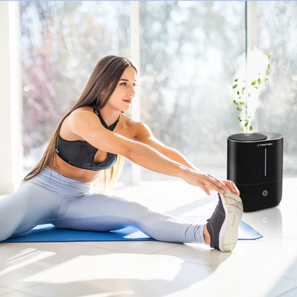 Фото - Зволожувач повітря Trotec B2 E