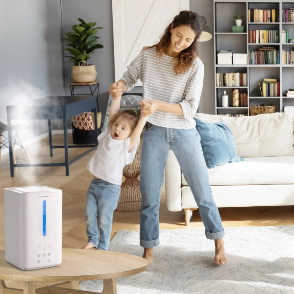 Фото - Зволожувач повітря Trotec B3 E