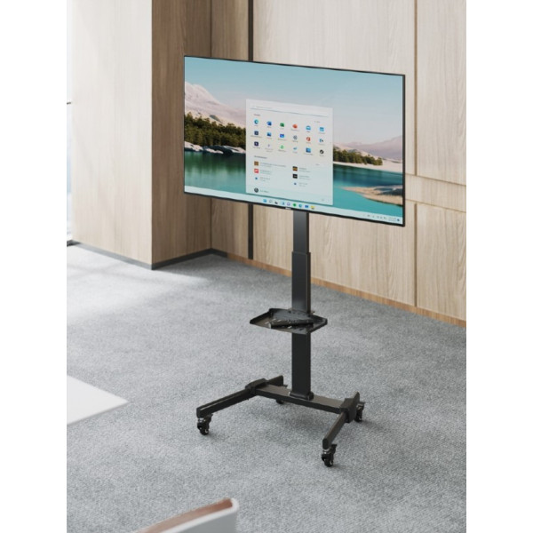 Фото - Крепление для телевизора Gembird TVS-55T-01