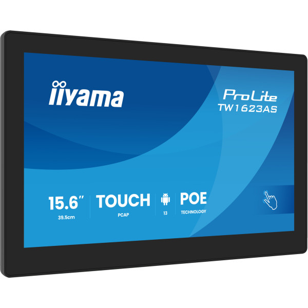 Фото - Монитор IIYAMA TW1623AS-B3P