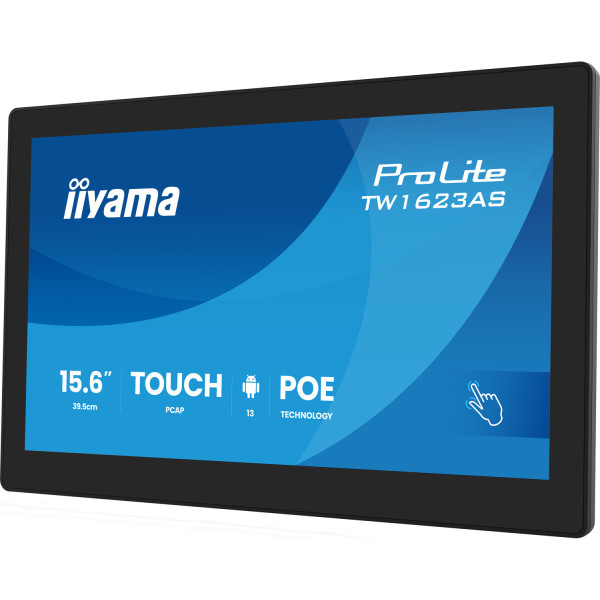 Фото - Монитор IIYAMA TW1623AS-B3P