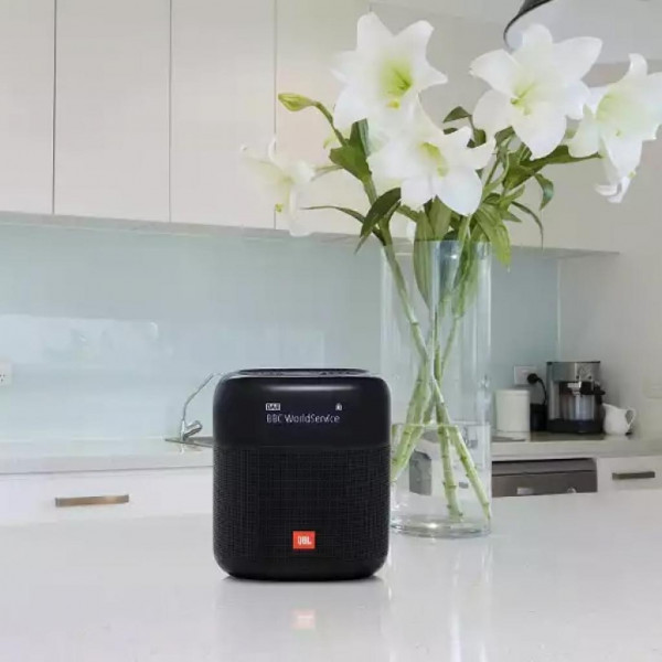Фото - Портативна акустика JBL Tuner XL Black (JBLTUNERXLBLKEU)